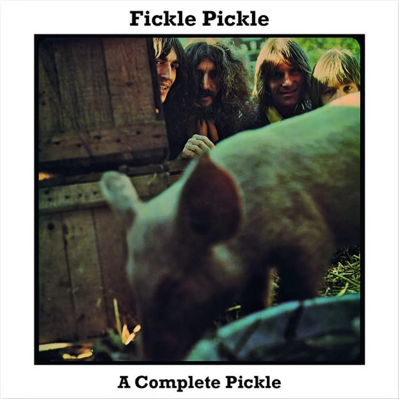 Fickle Pickle