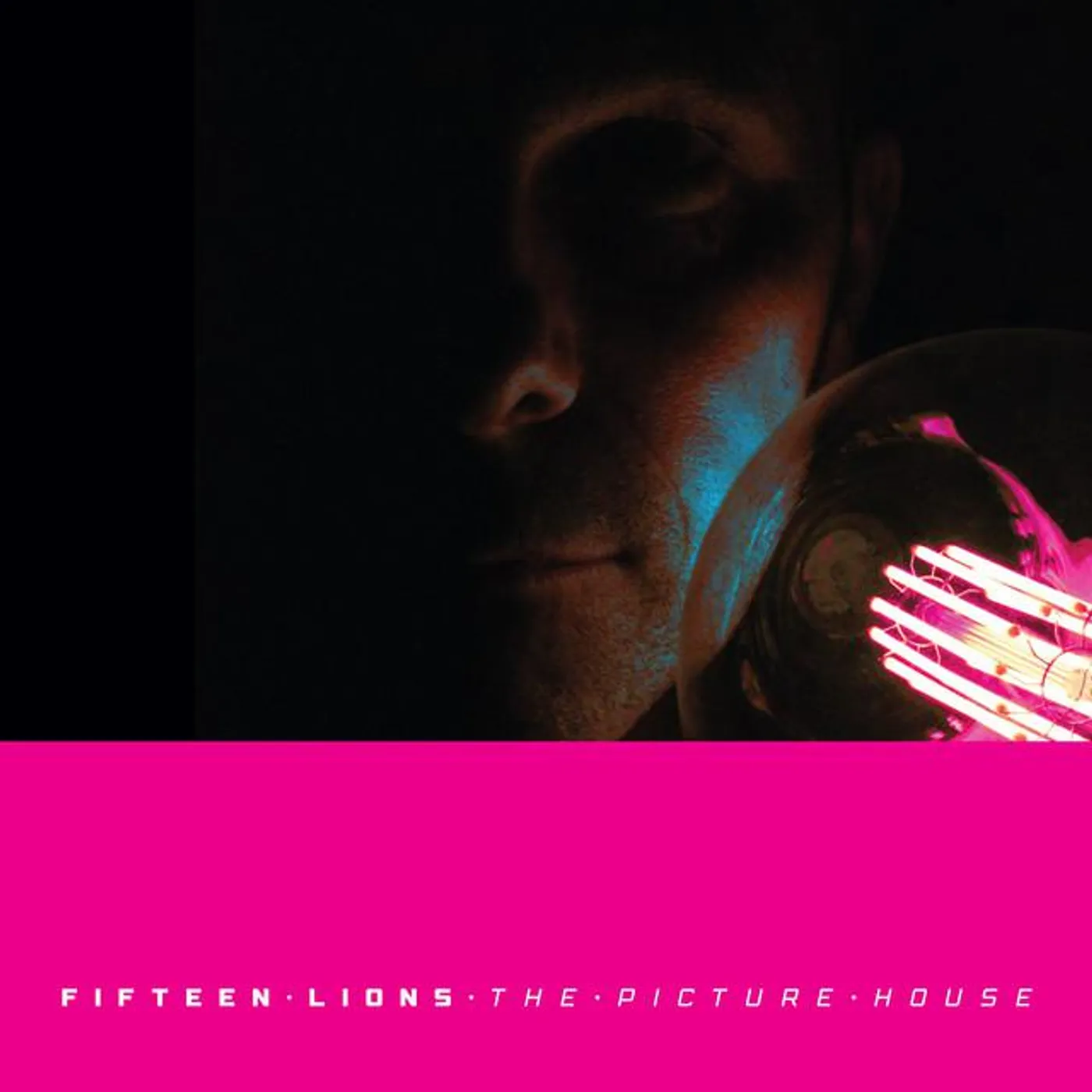 Fifteen Lions