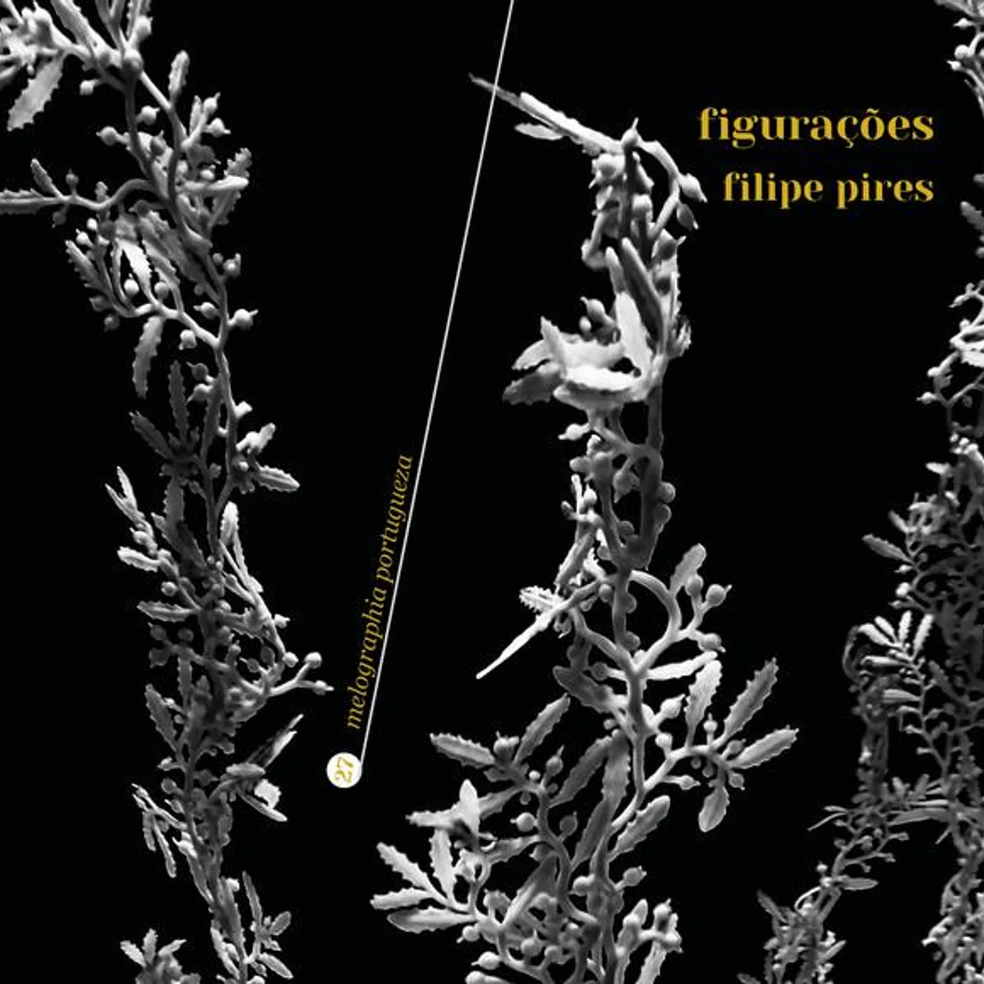 Filipe Pires