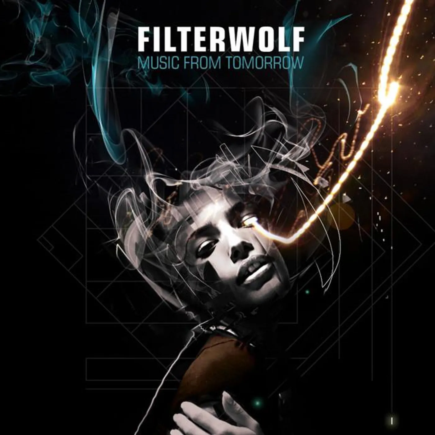 Filterwolf Brand Page