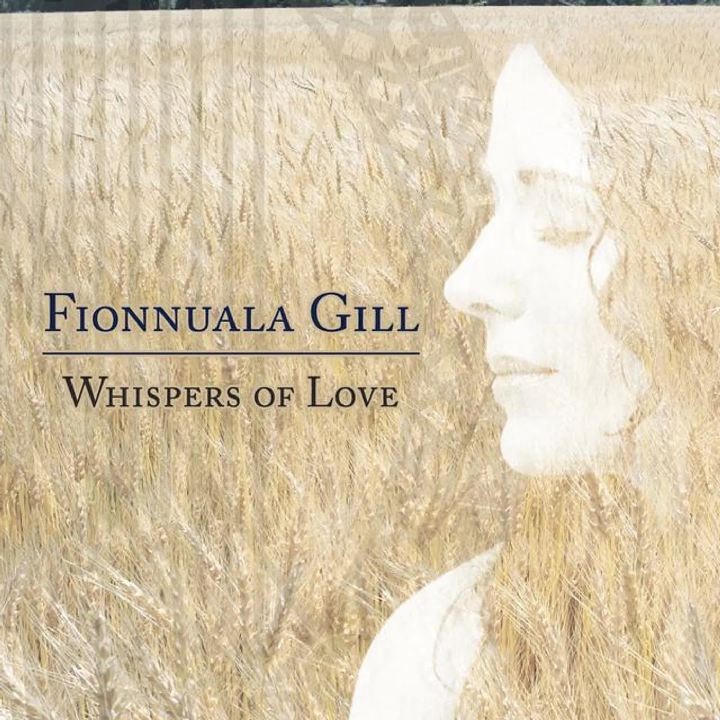 Fionnuala Gill Brand Page