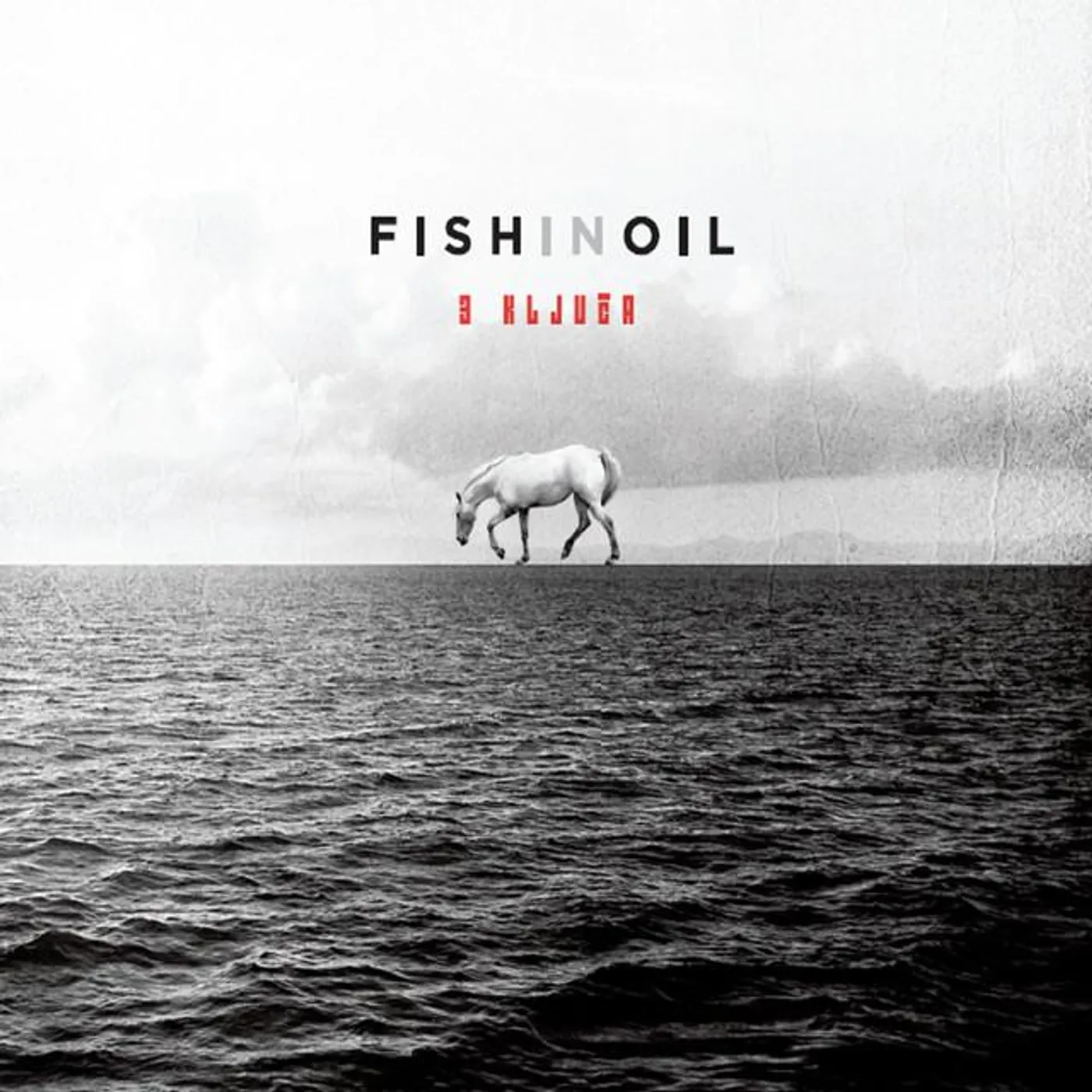 Fish in Oil Brand Page