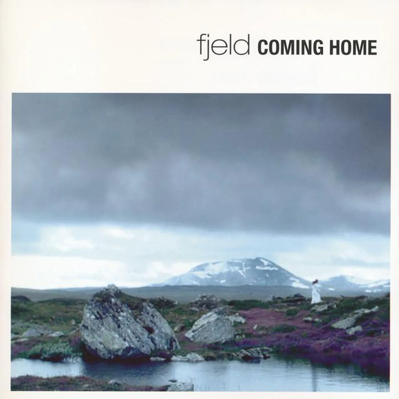 Fjeld