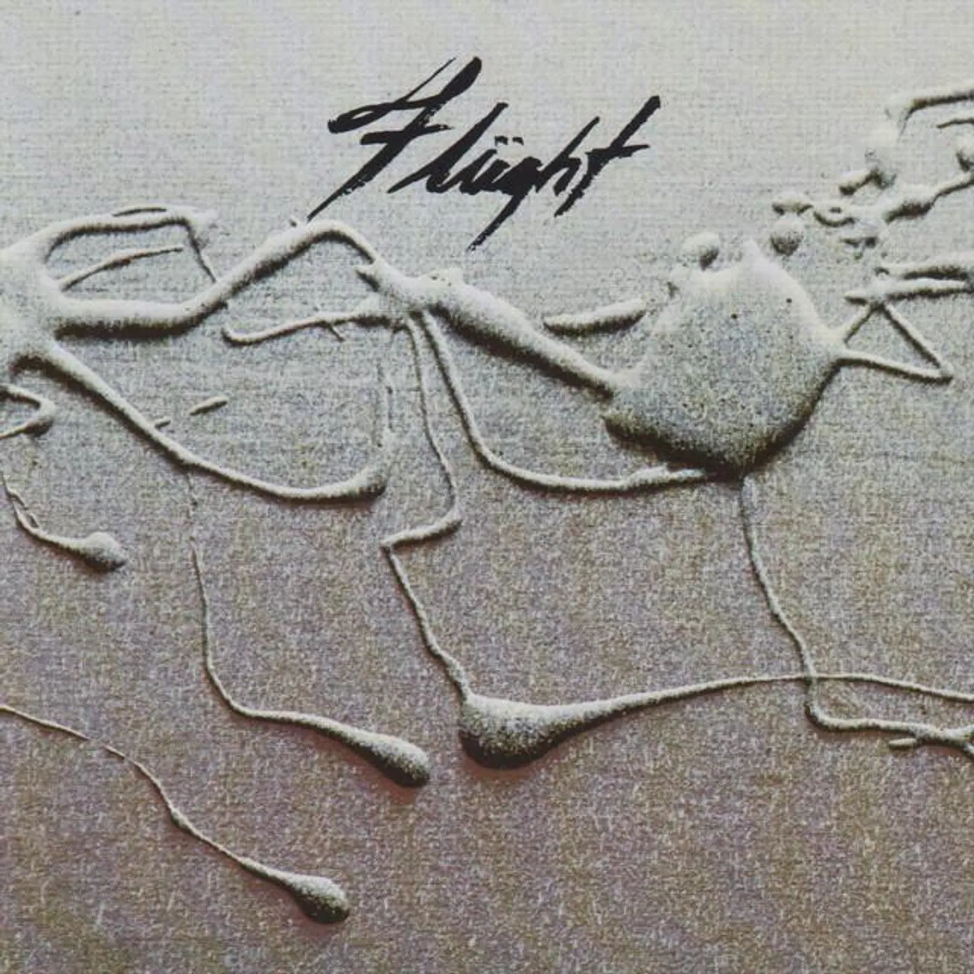 Flught Brand Page