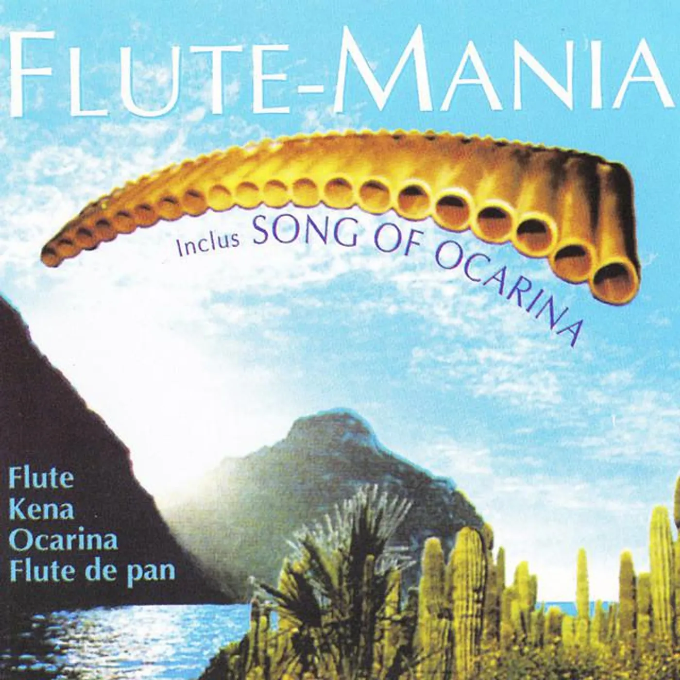Flute Mania