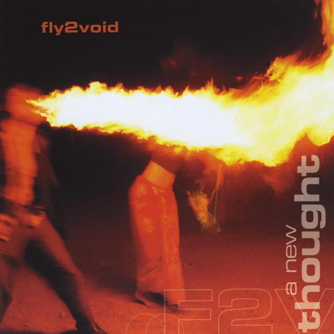 Fly2Void