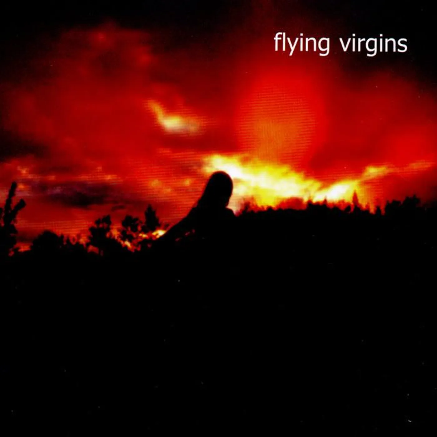 flying virgins