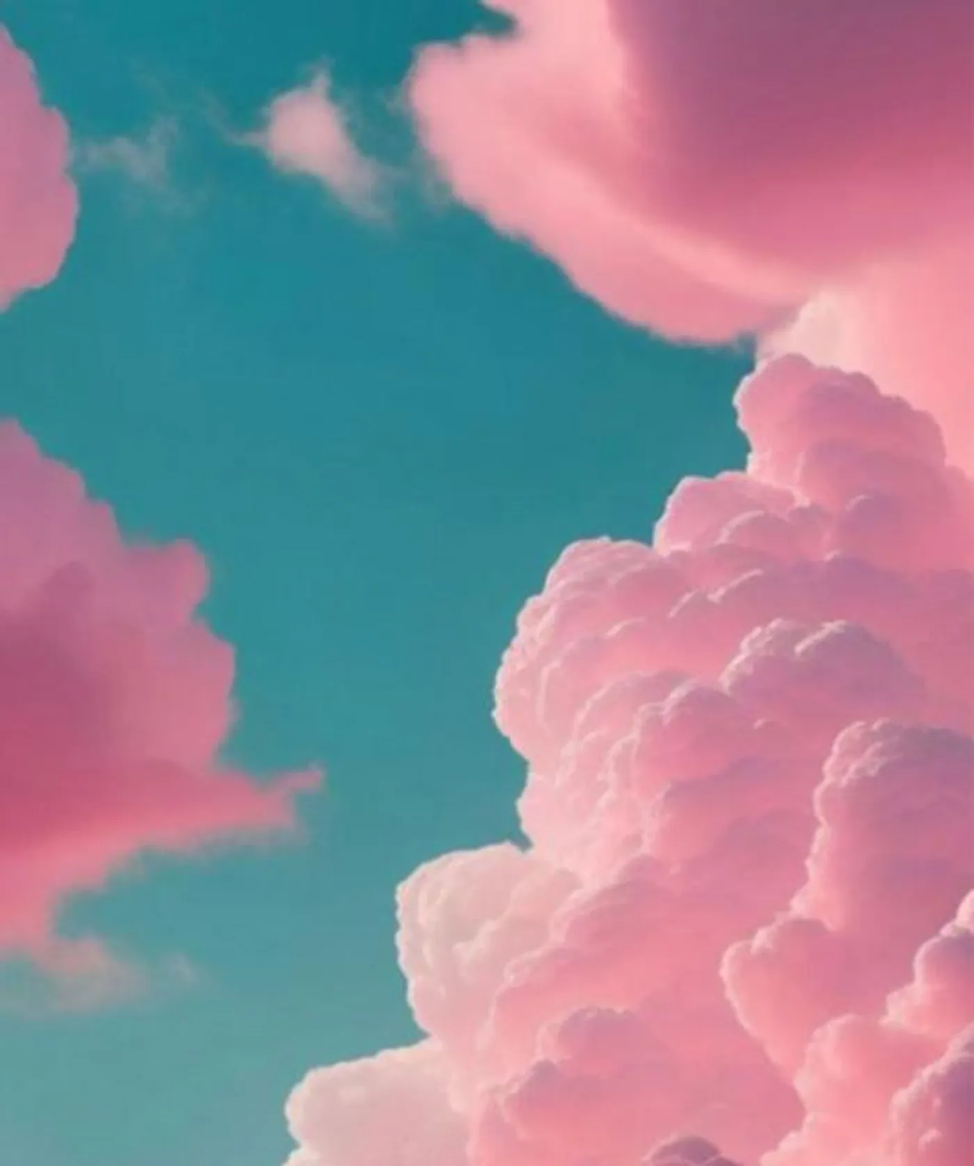 Flyswatter