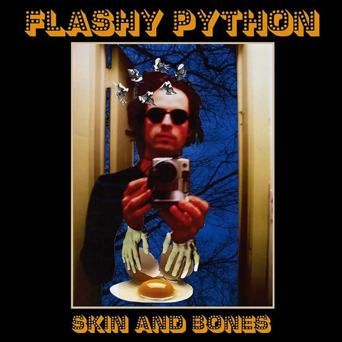 Flashy Python