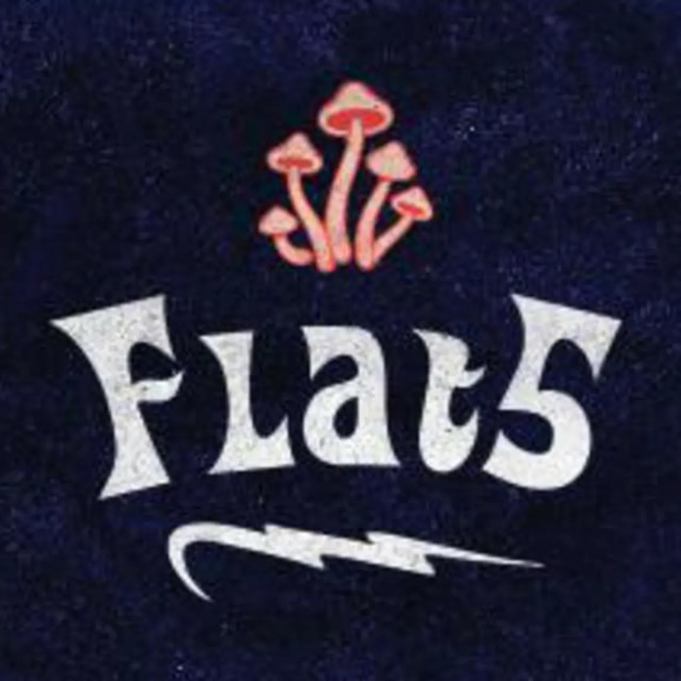 Flat 5 Brand Page