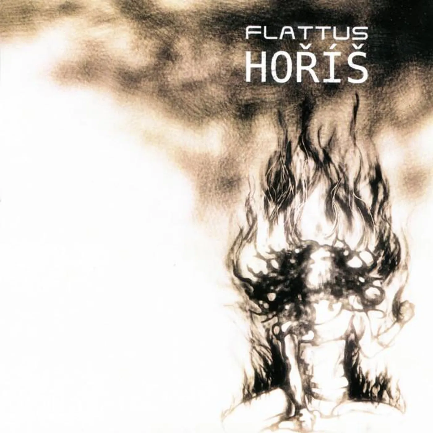 Flattus