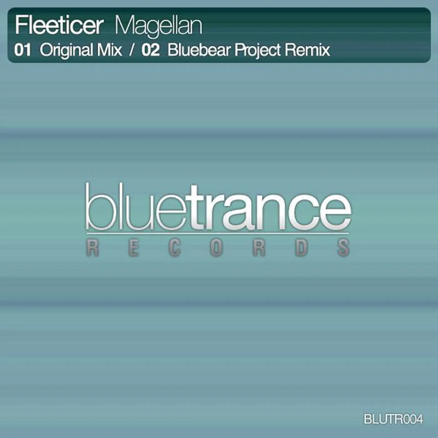 Fleeticer