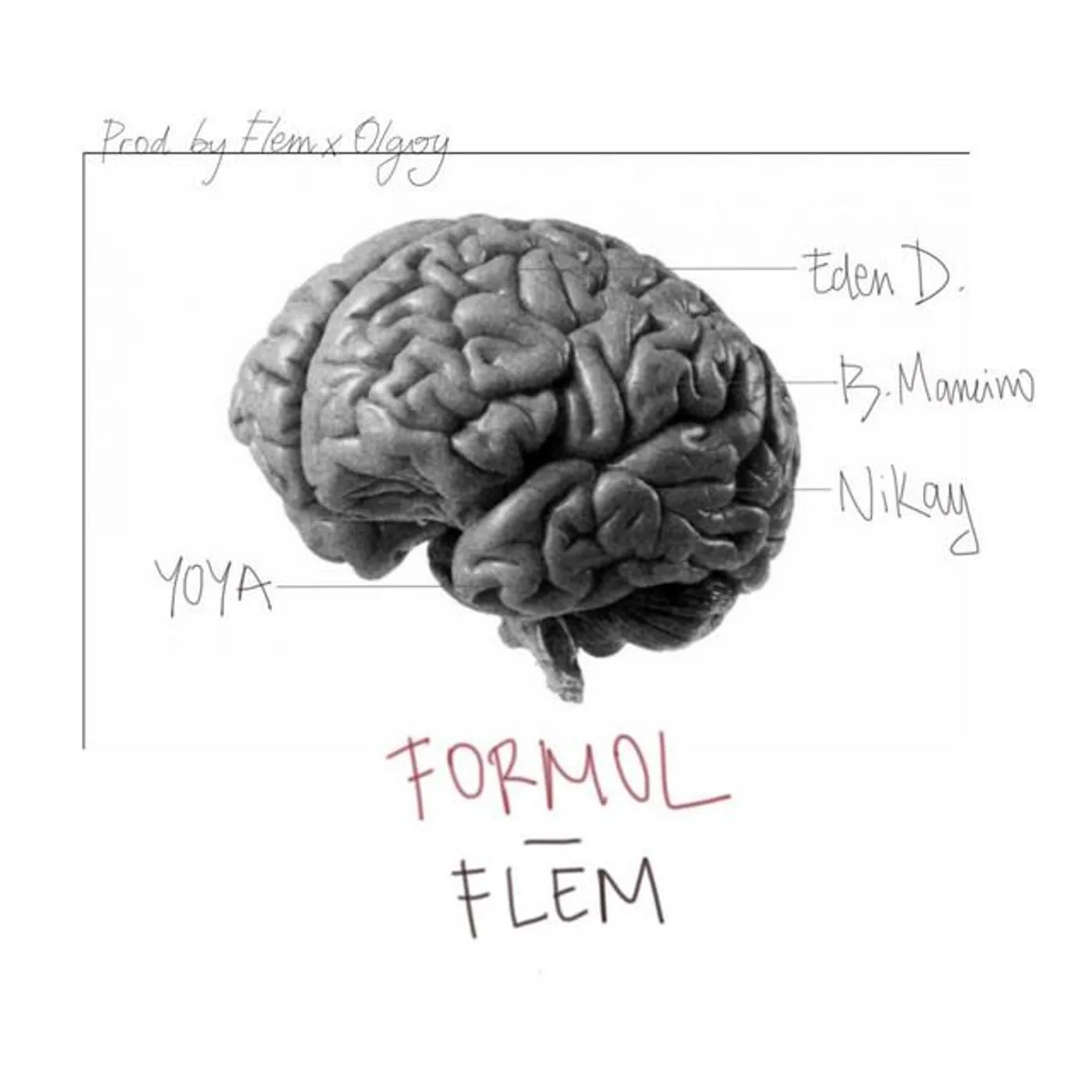 Flem Brand Page