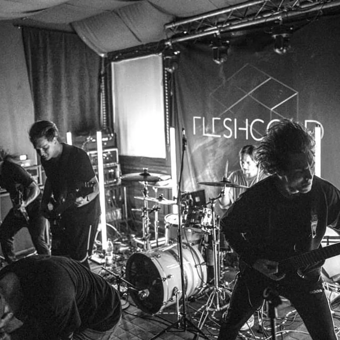 Fleshcold Brand Page