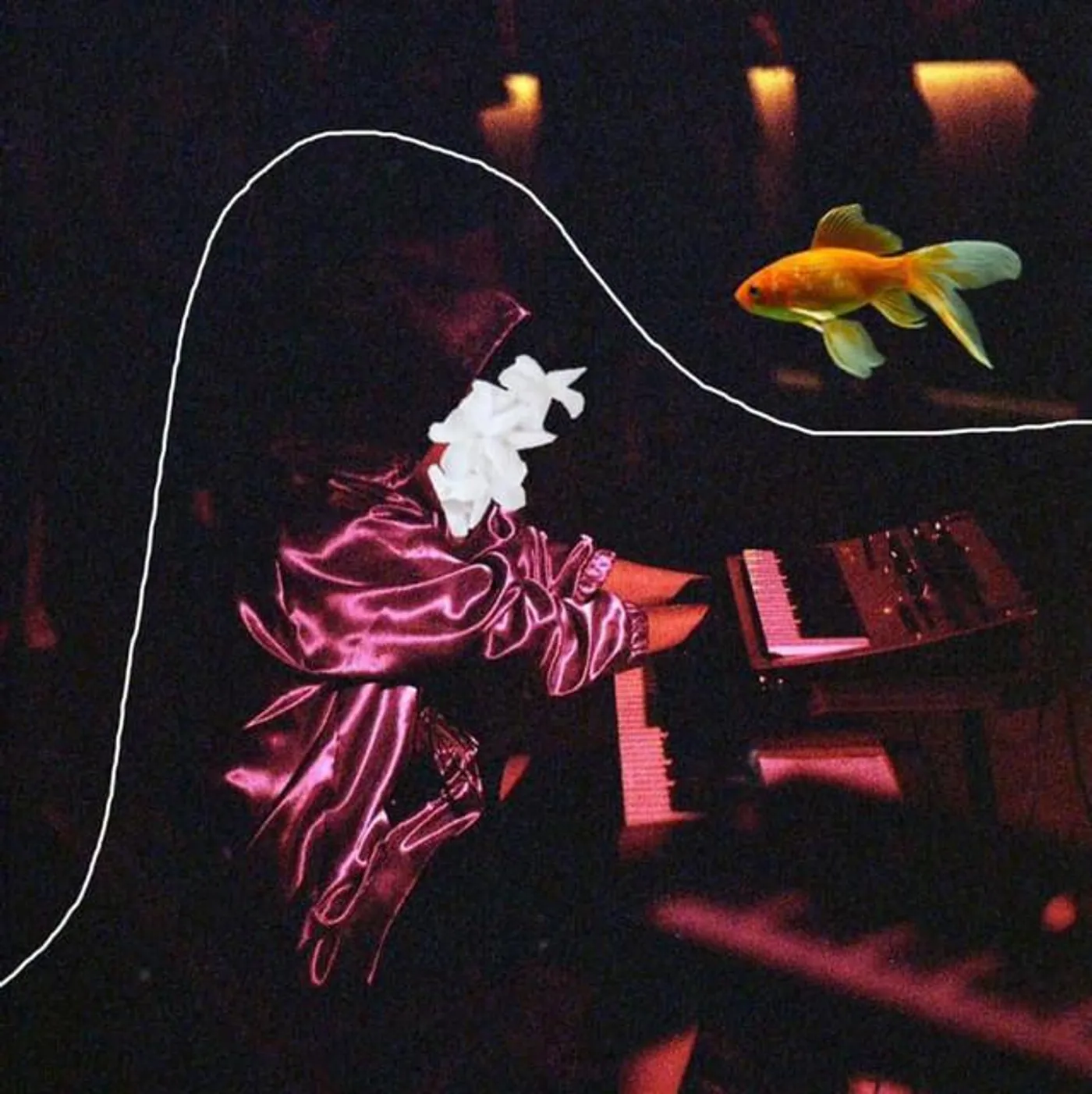 Flor Iribarne