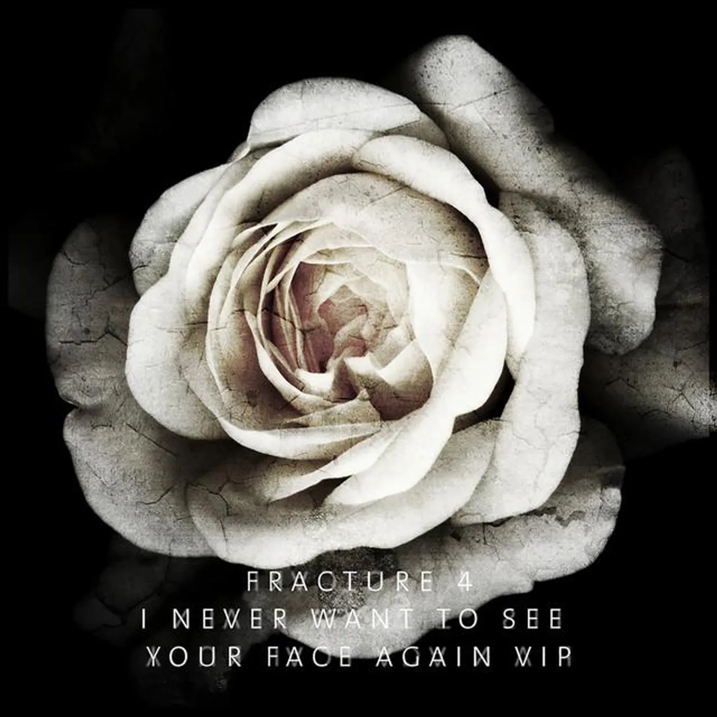 Fracture 4