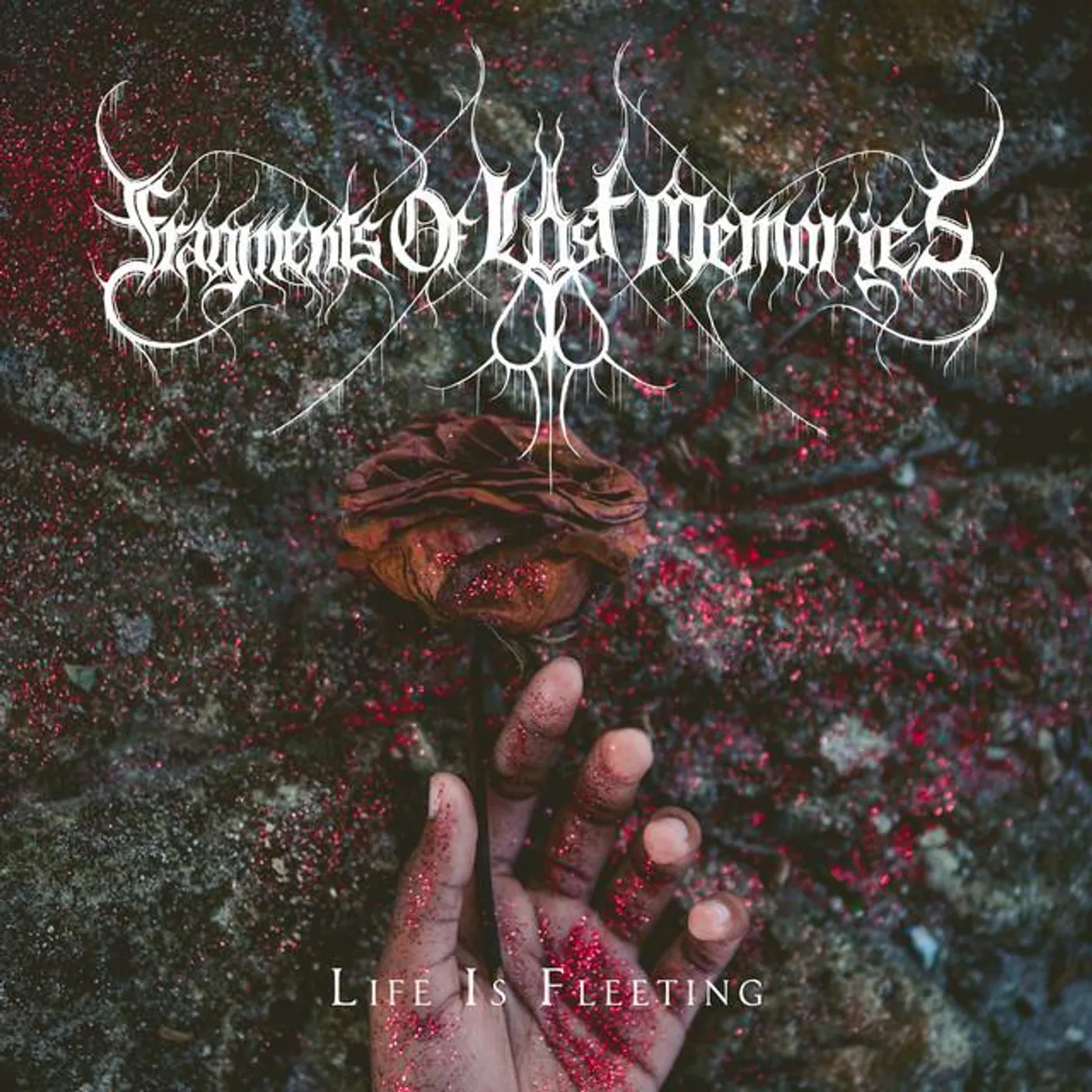 Fragments of Lost Memories Brand Page