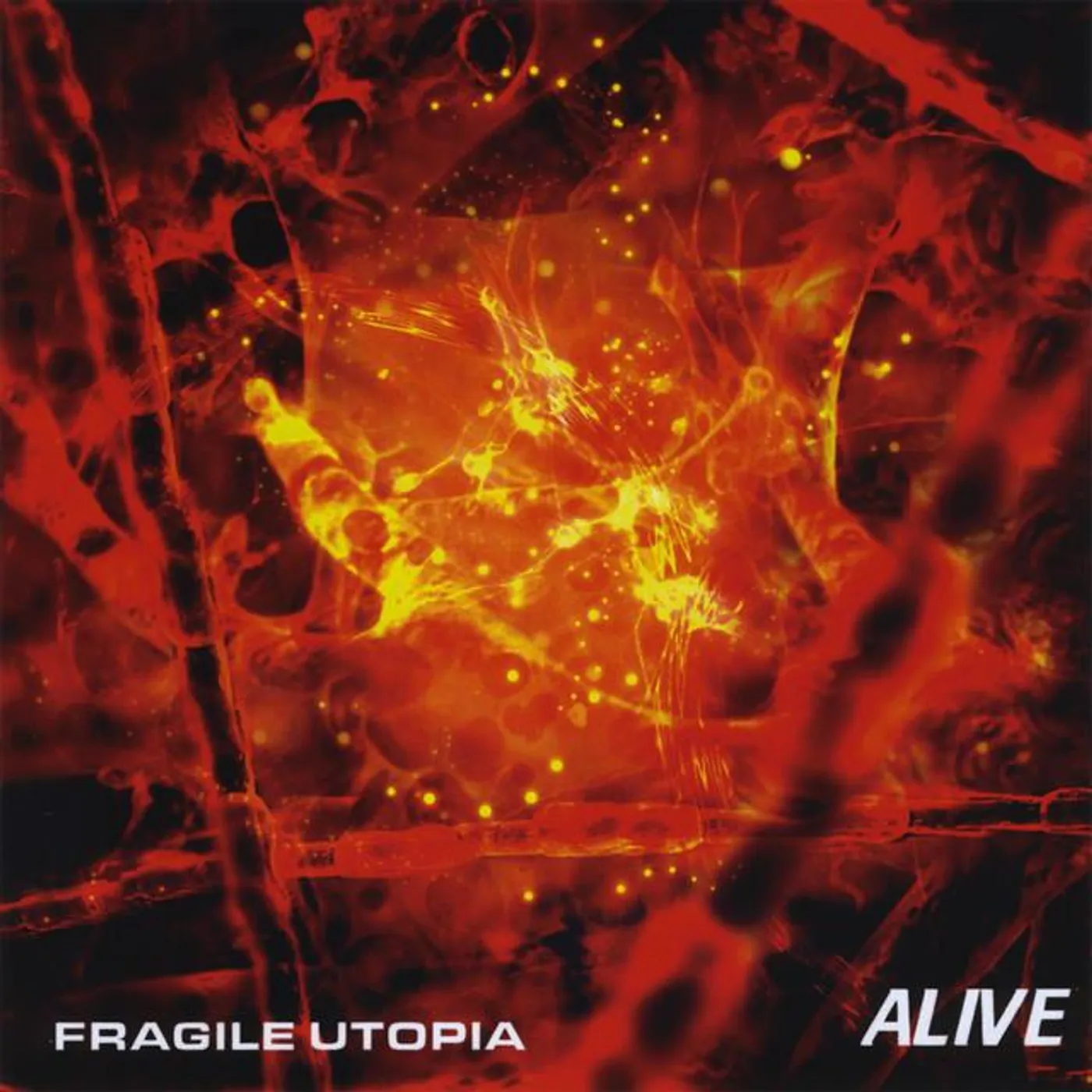 Fragile Utopia