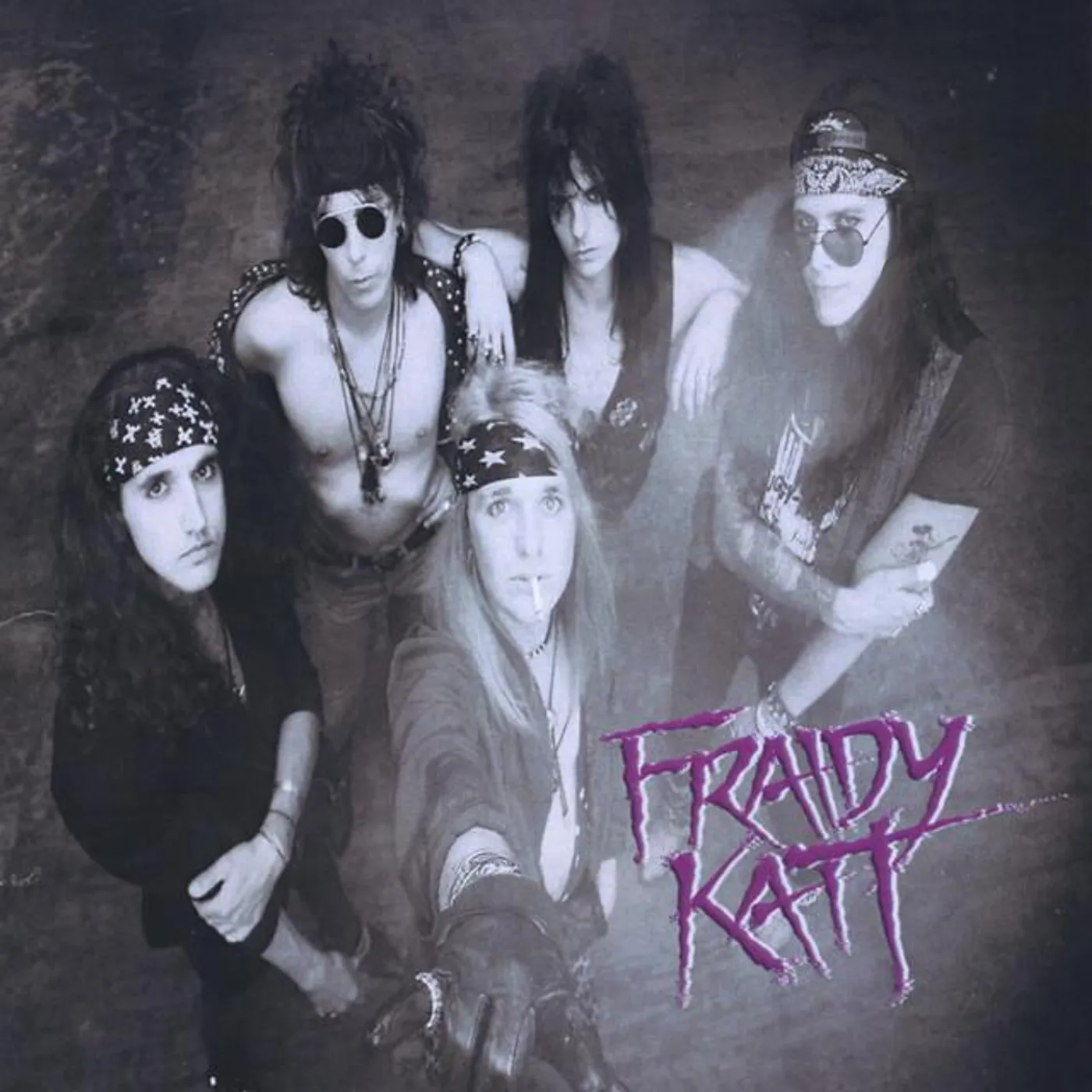 Fraidy Katt