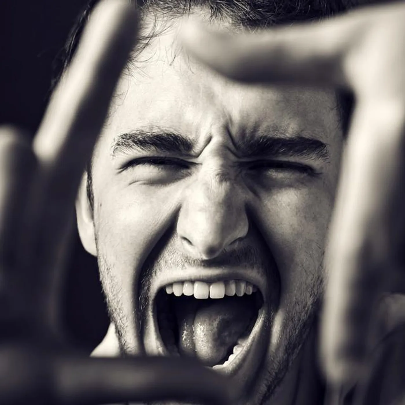 Francesco Cavestri Brand Page