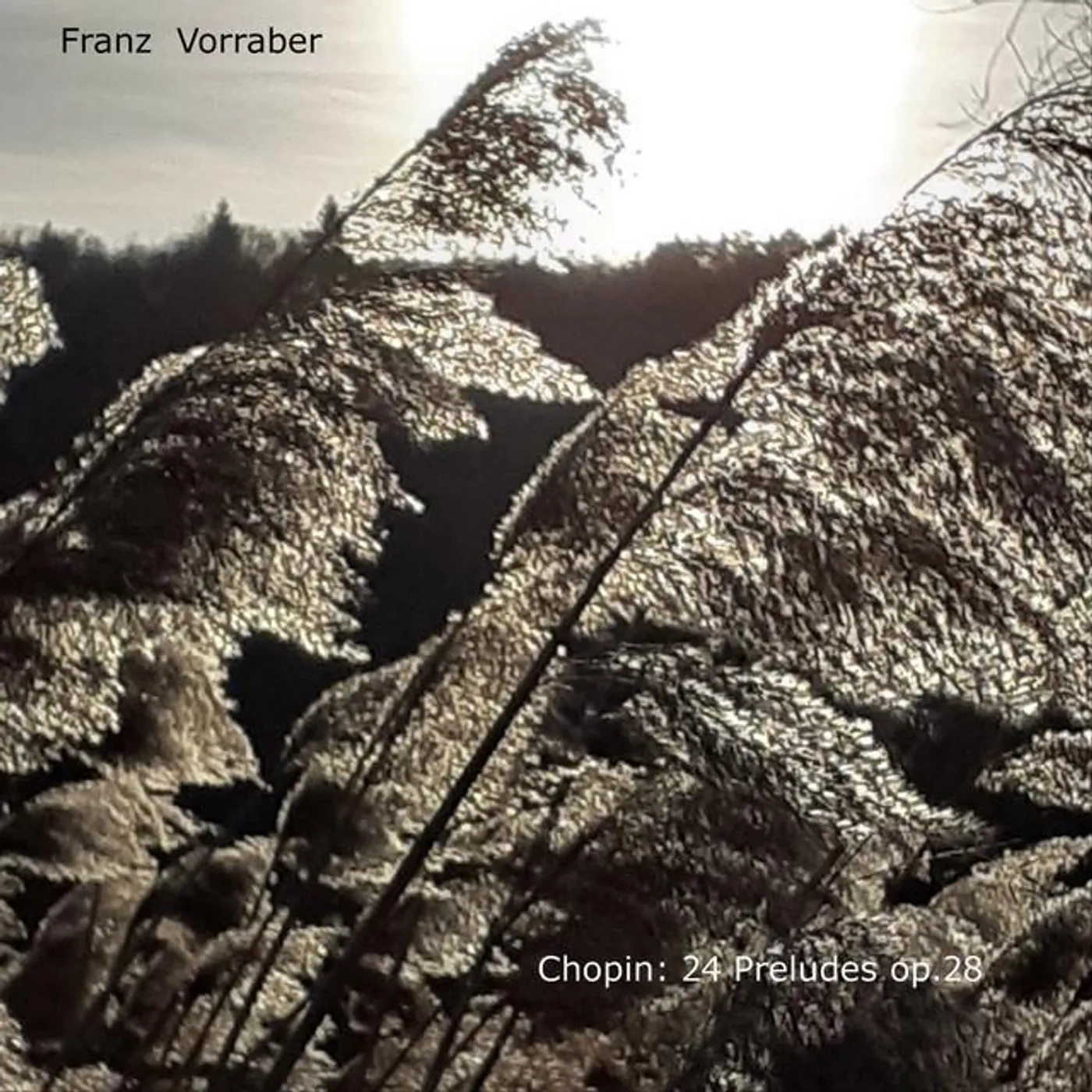 Franz Vorraber
