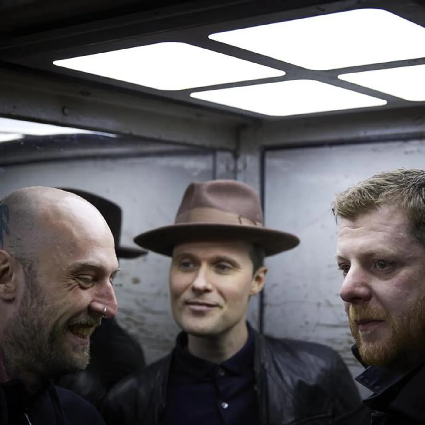 The Fratellis Brand Page