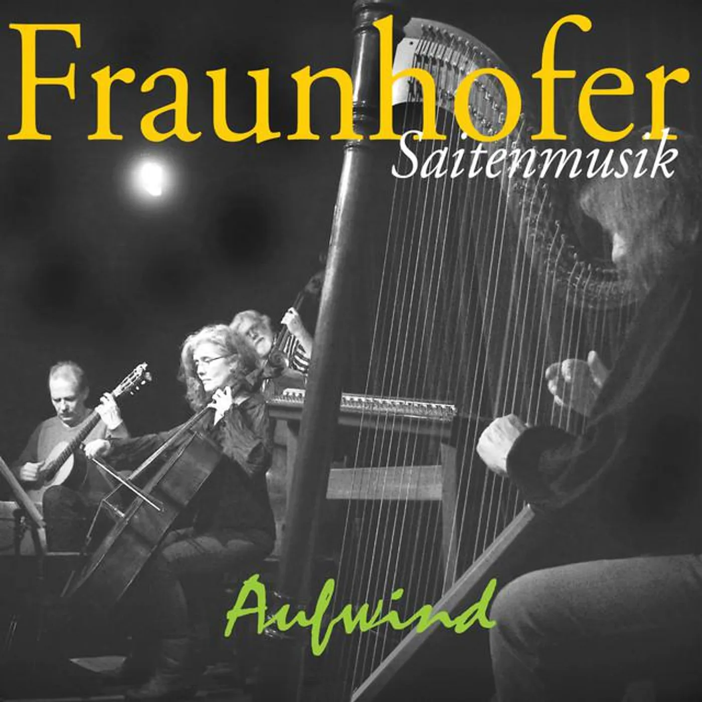 Fraunhofer Saitenmusik Brand Page