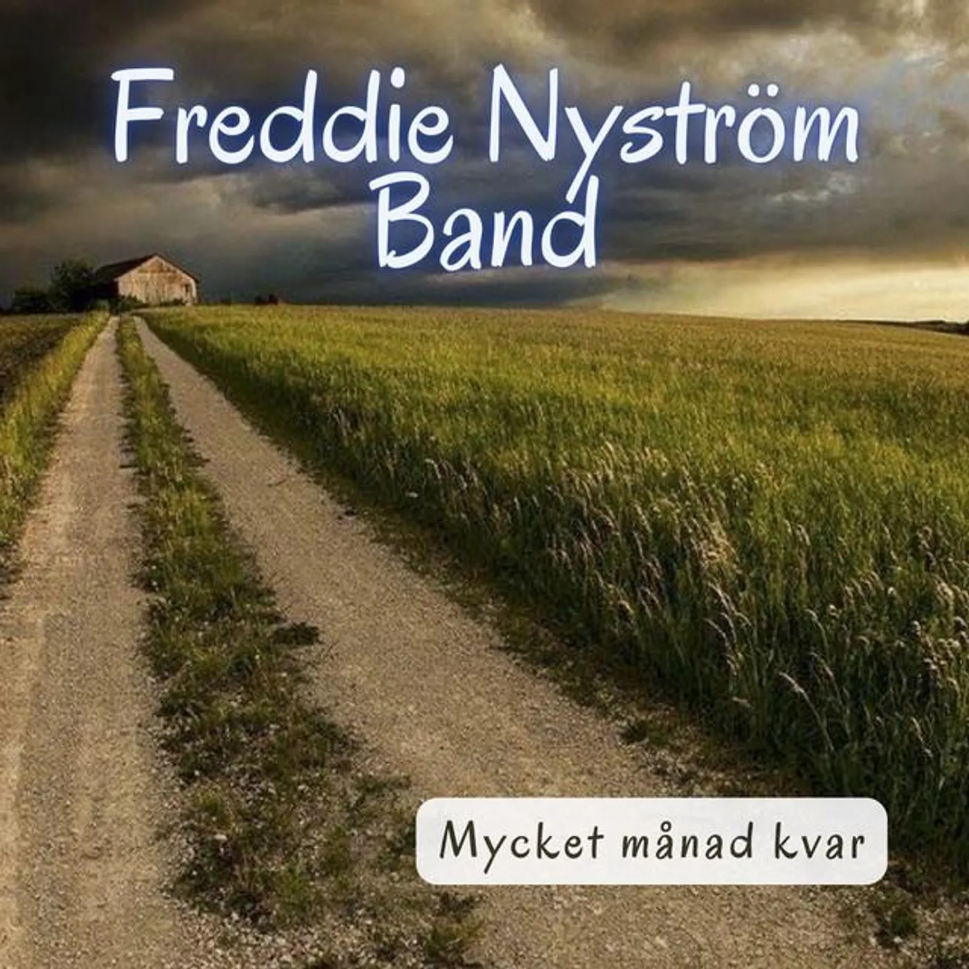Freddie Nyström Band