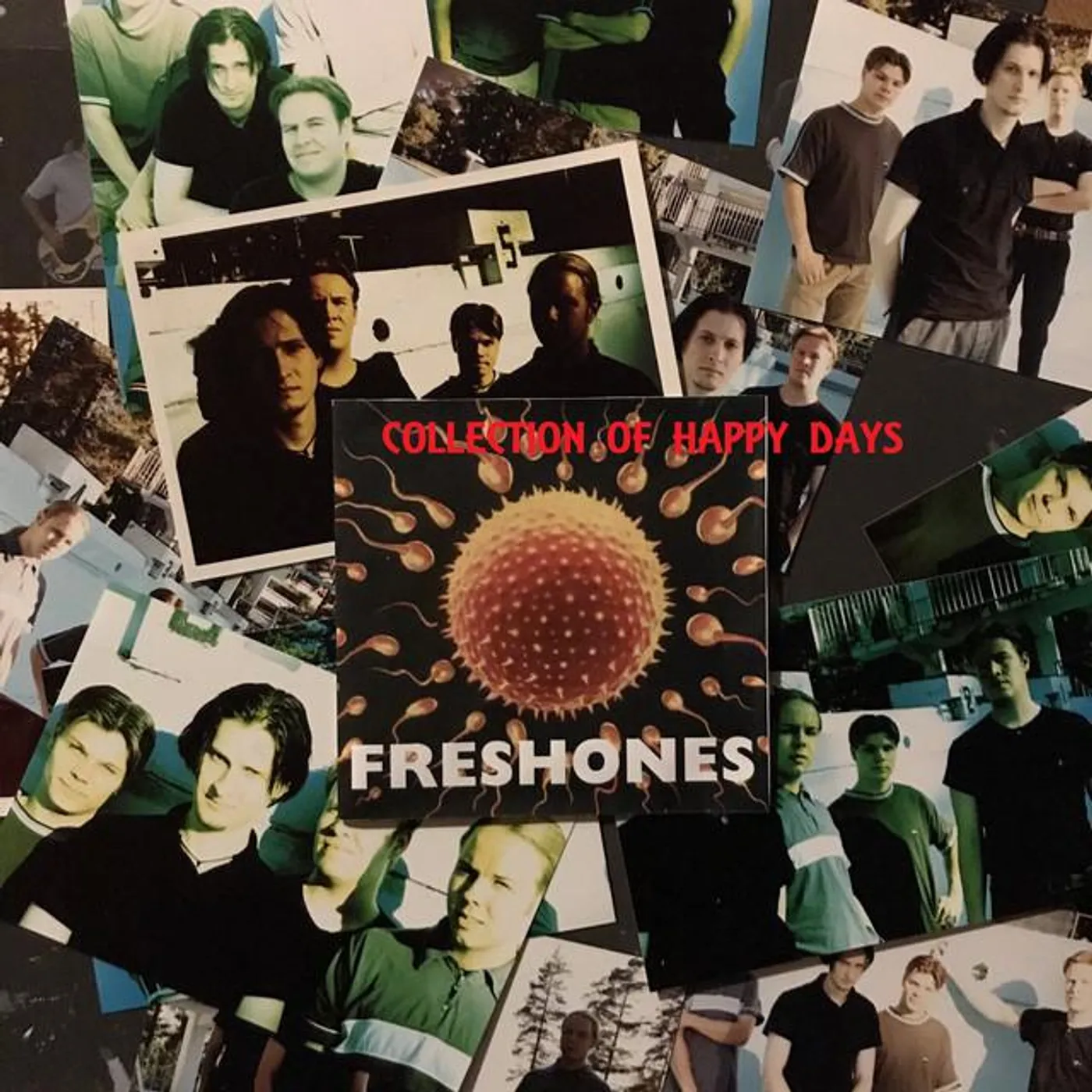 Freshones