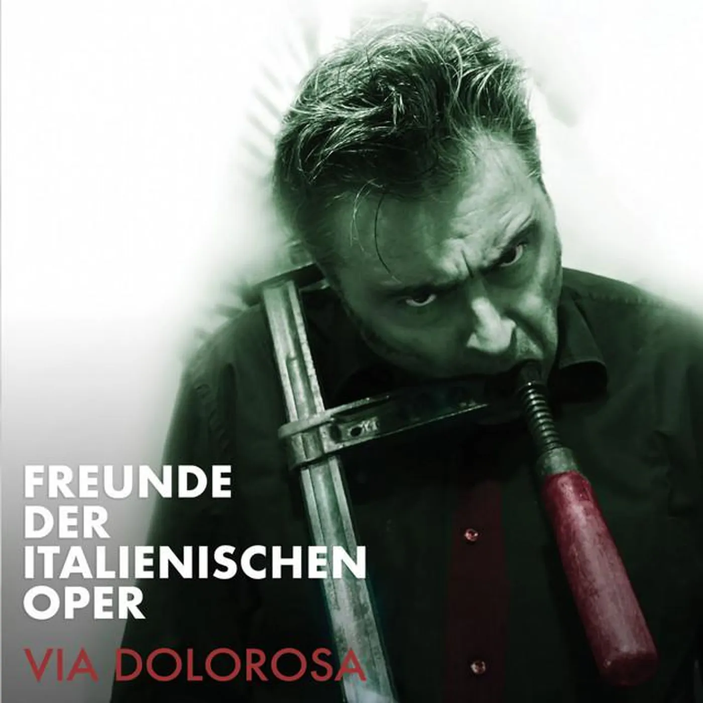 Freunde der Italienischen Oper
