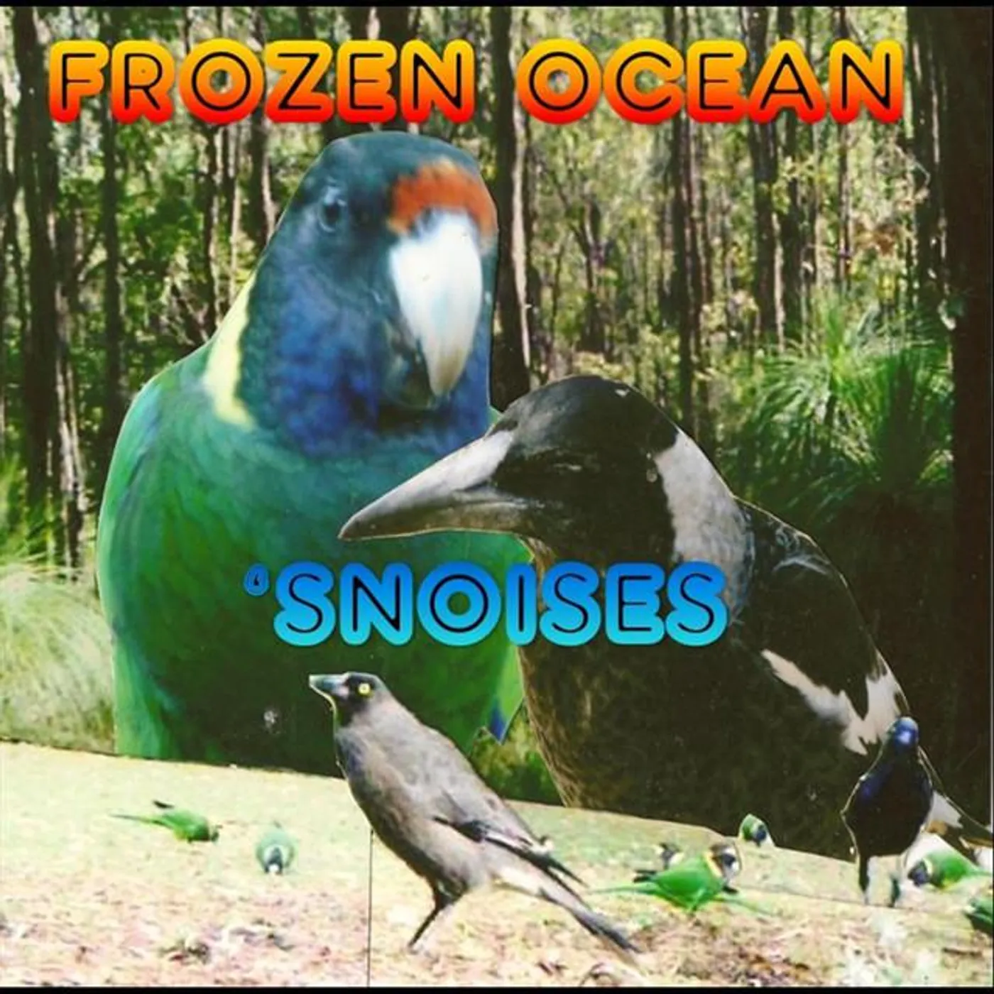 Frozen Ocean