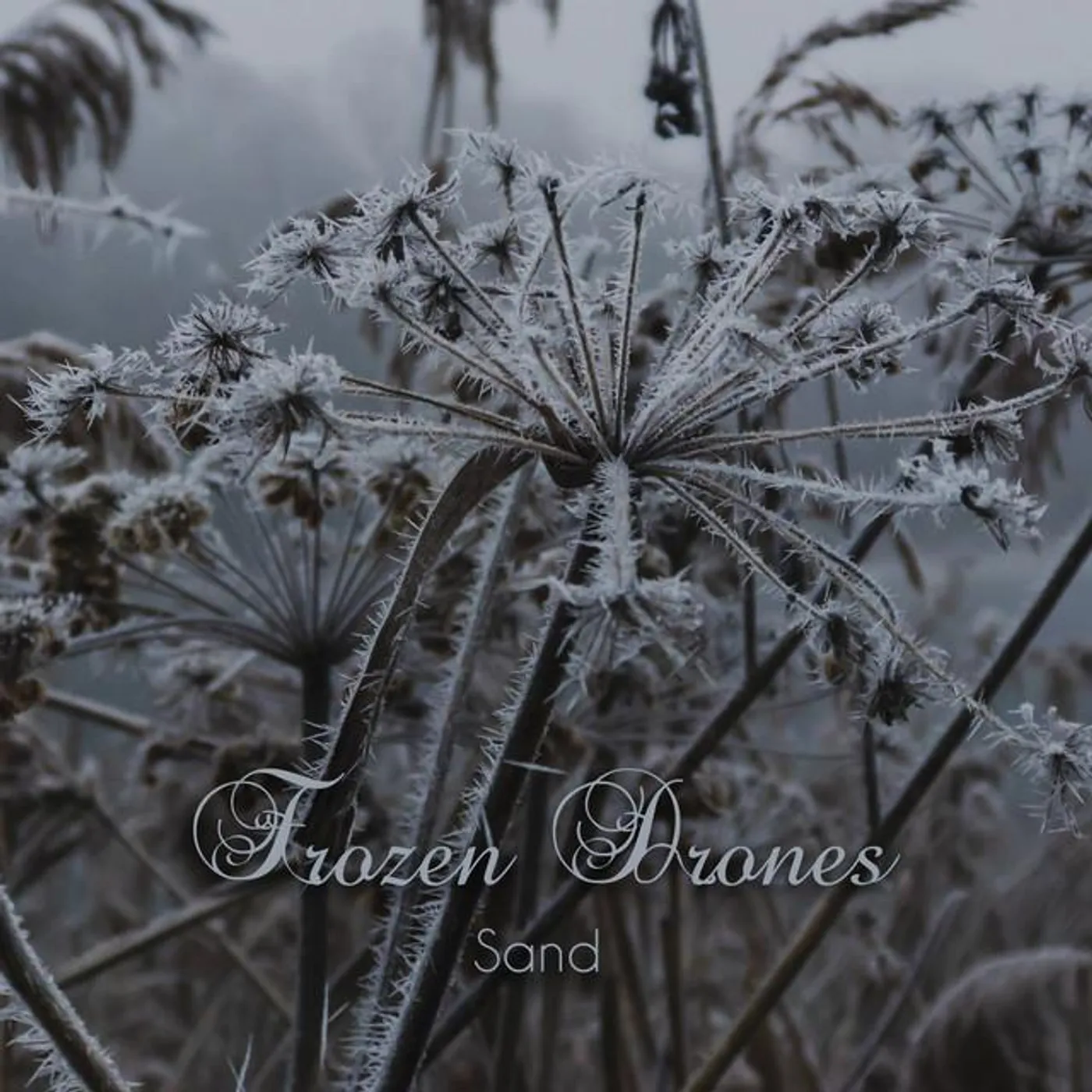 Frozen Drones