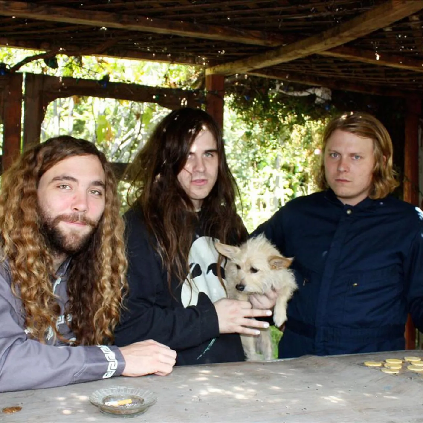 Fuzz Brand Page