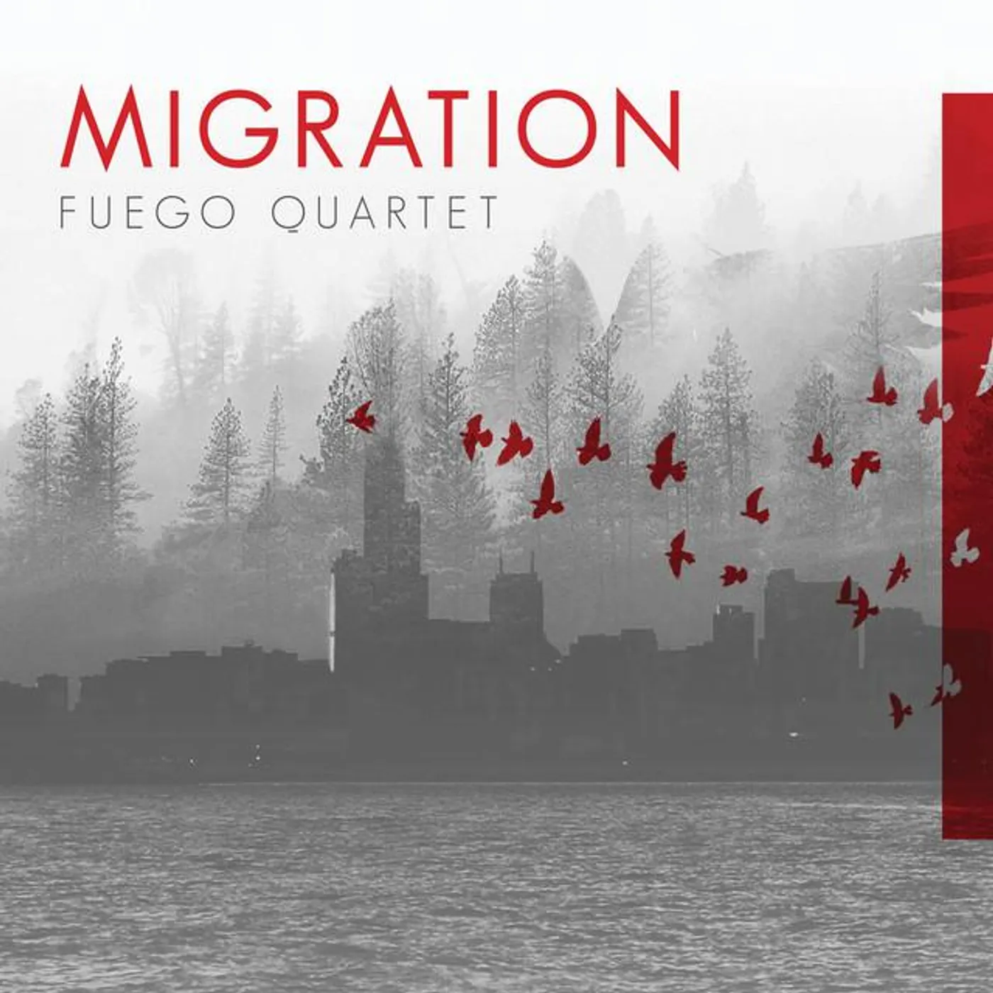 Fuego Quartet