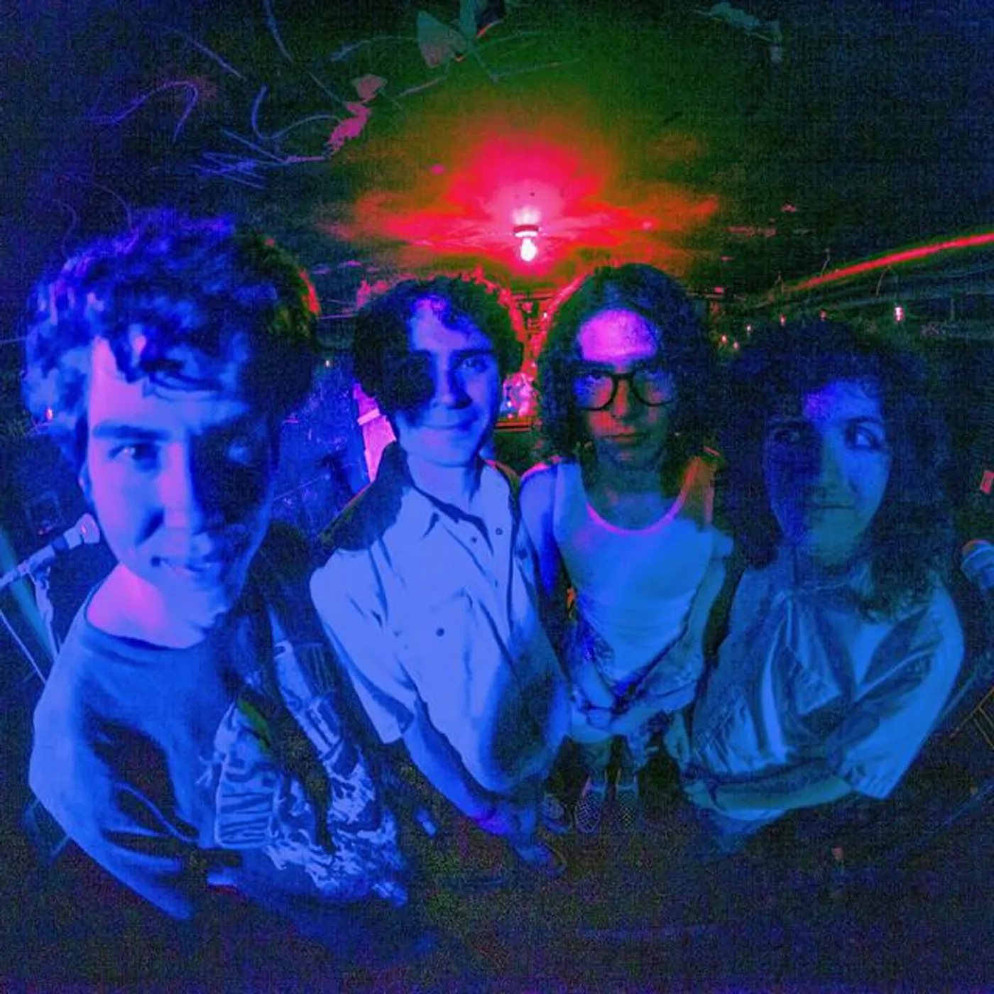 Funhouse Mirrors