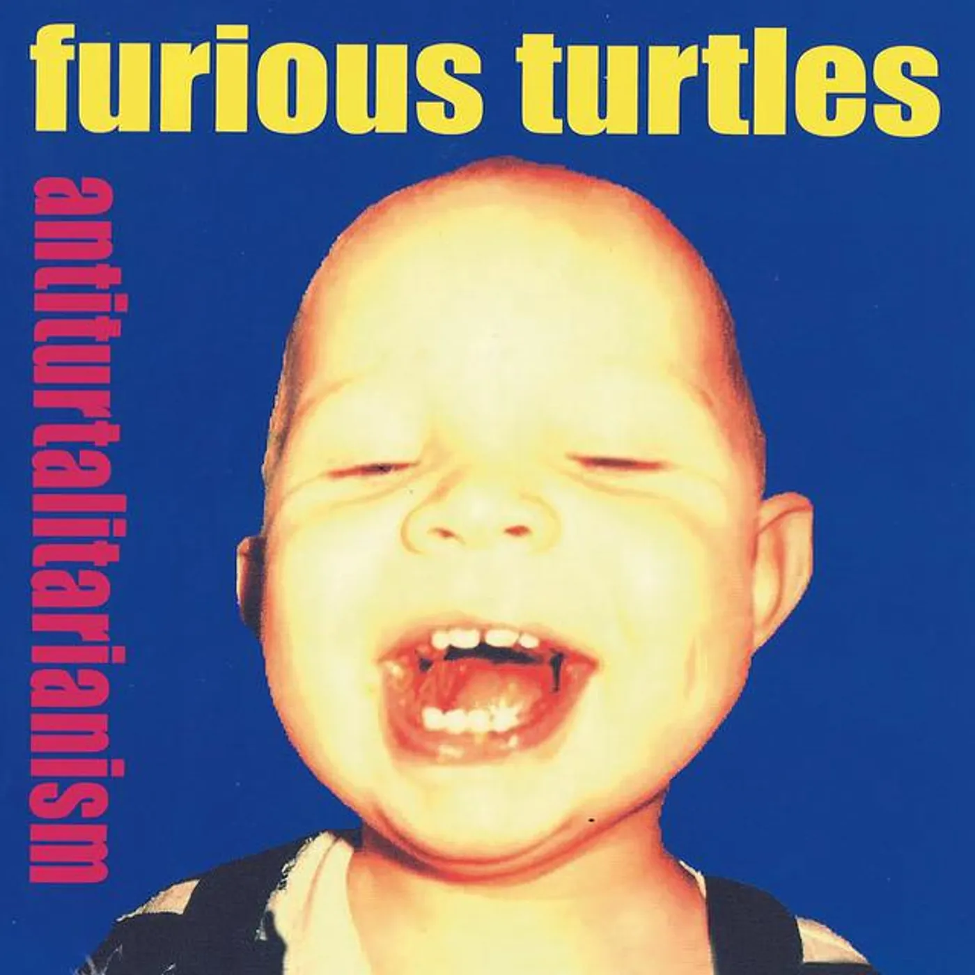 Furious Turtles Brand Page