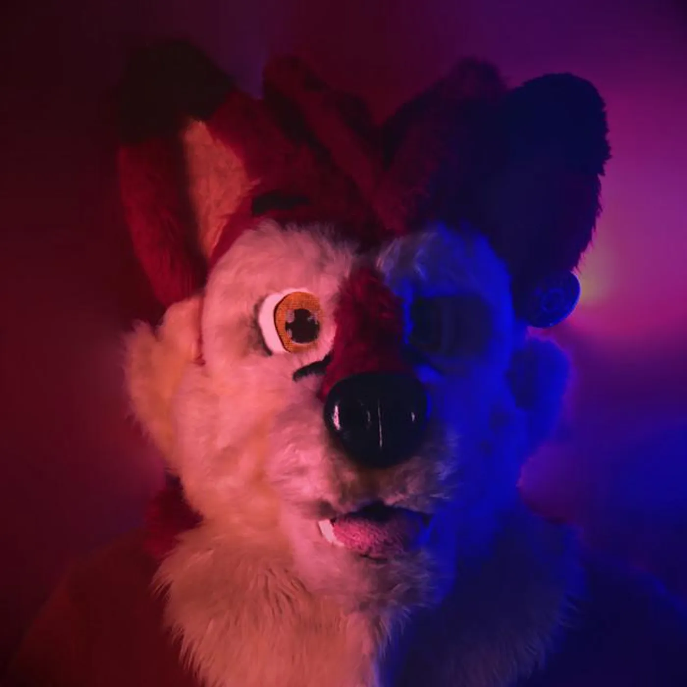 Fyko Fox