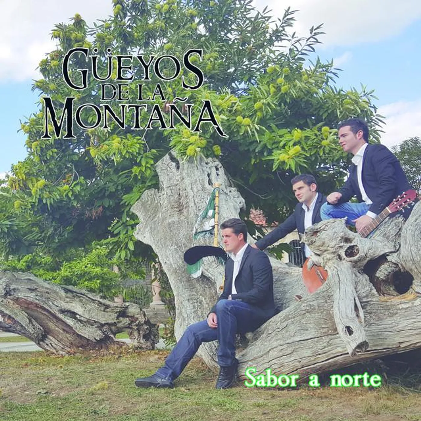 Güeyos