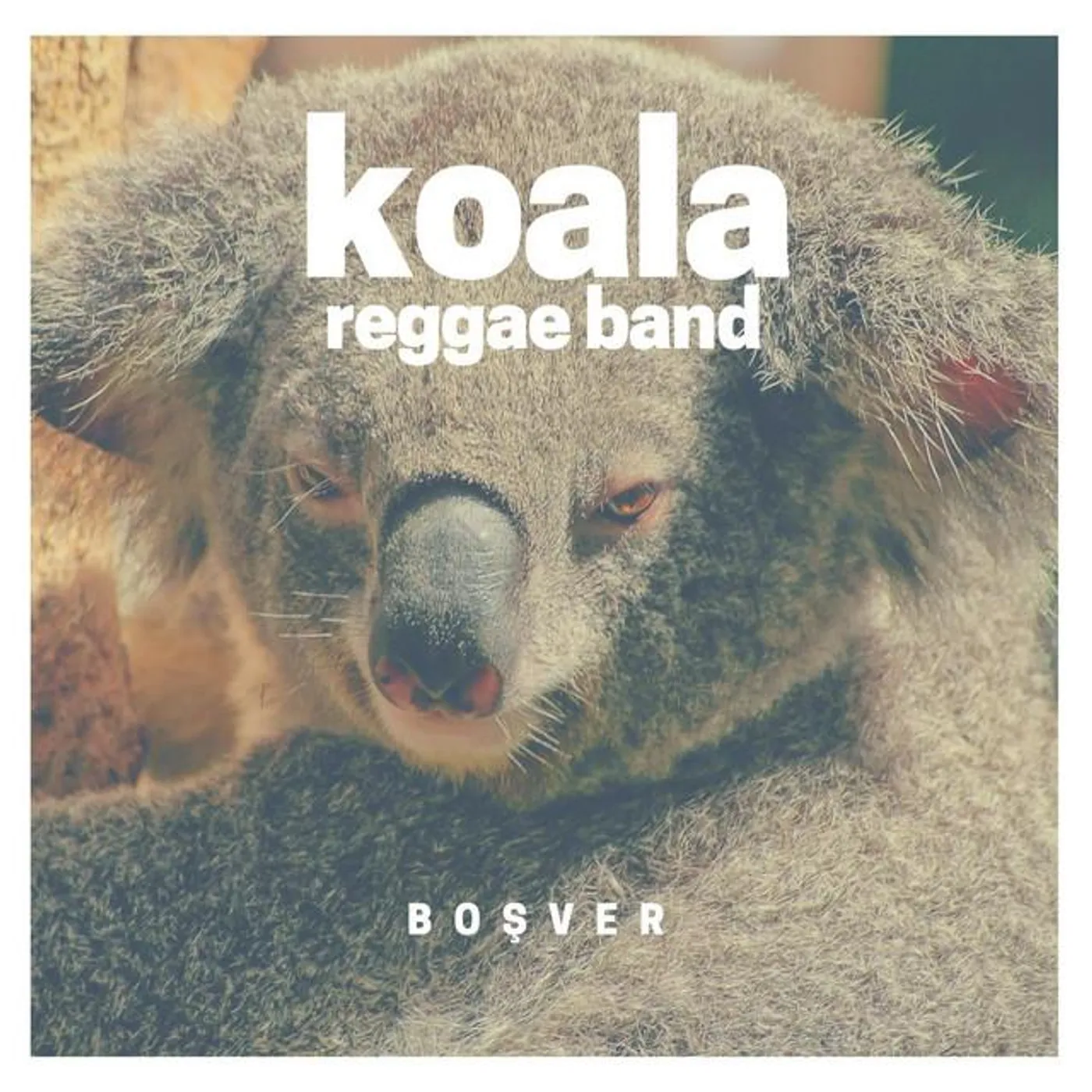 Koala Reggae Band