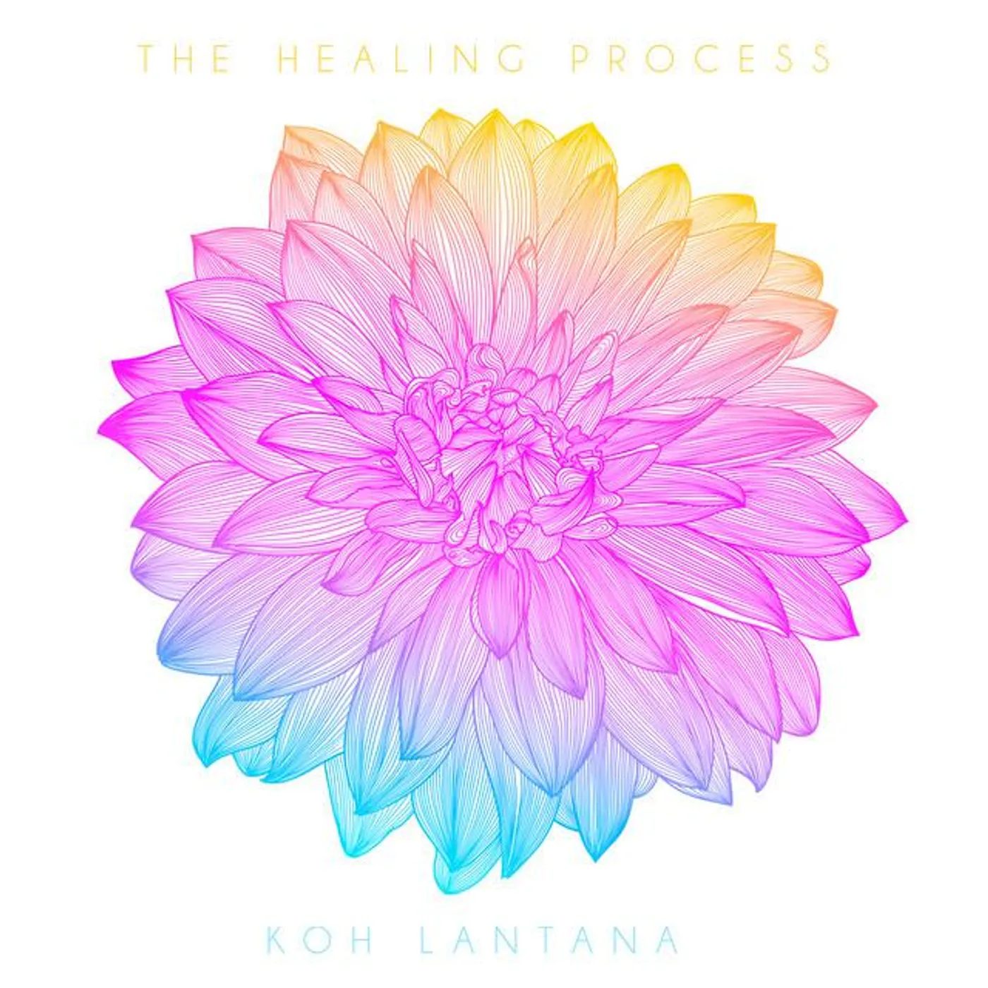 KOH Brand Page