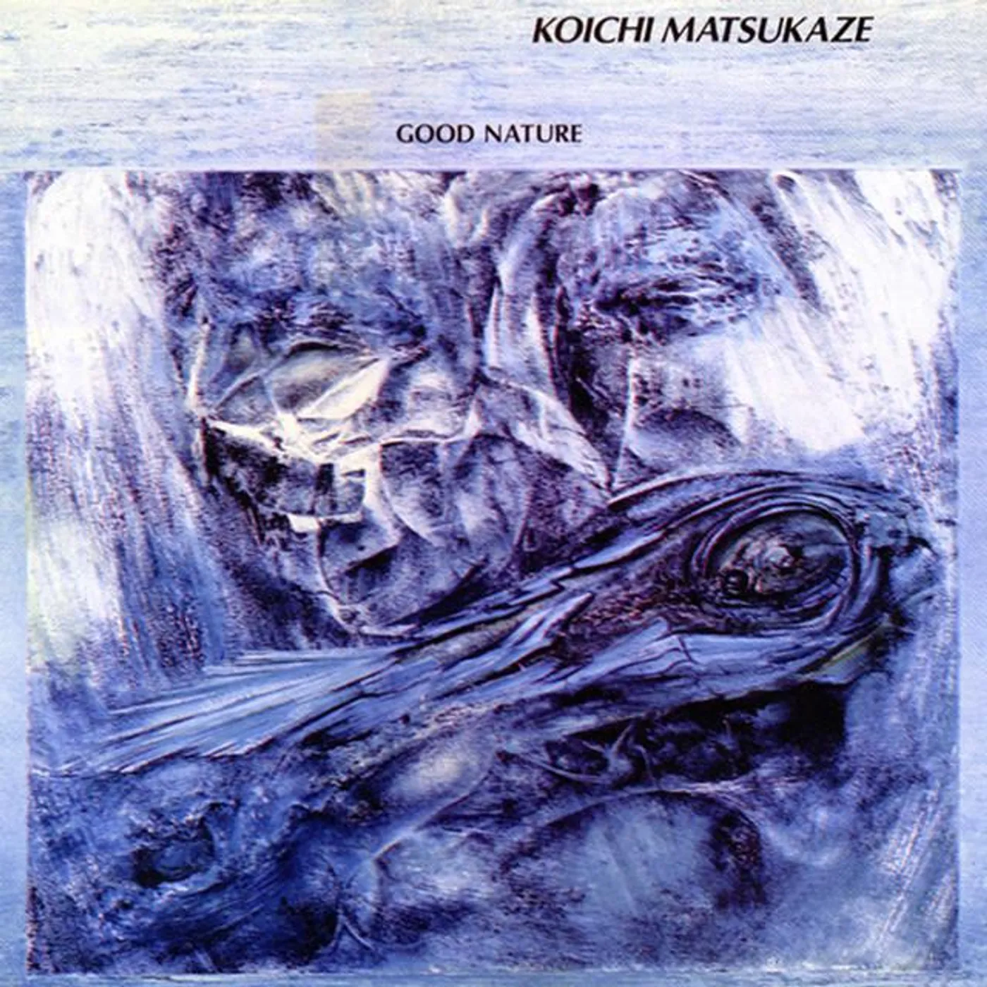 Koichi Matsukaze