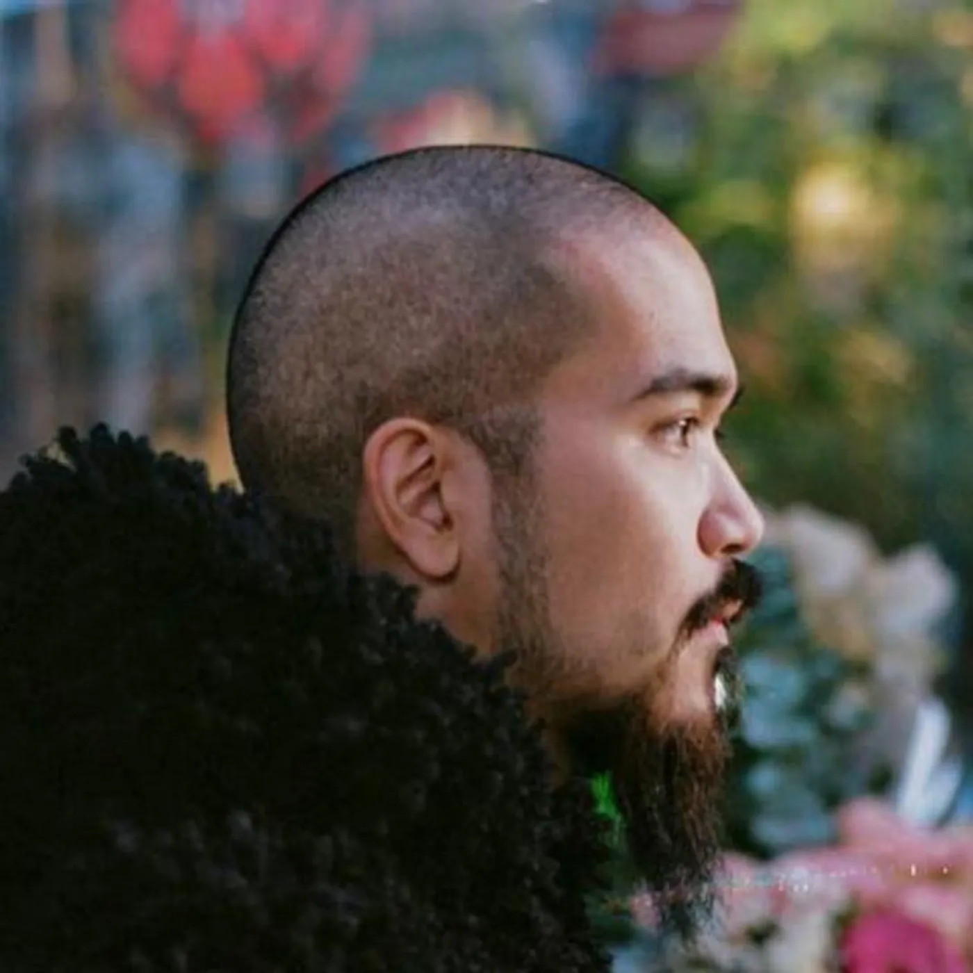 KOJI