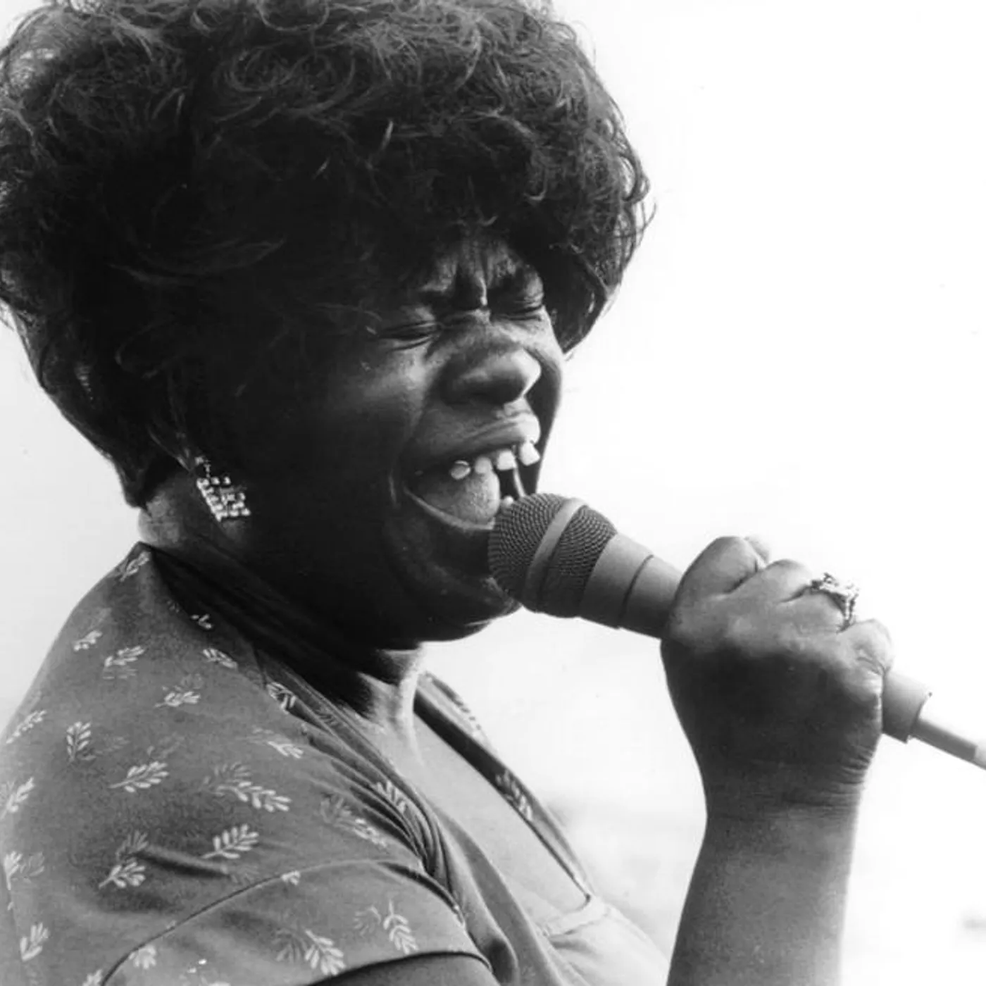 Koko Taylor Brand Page