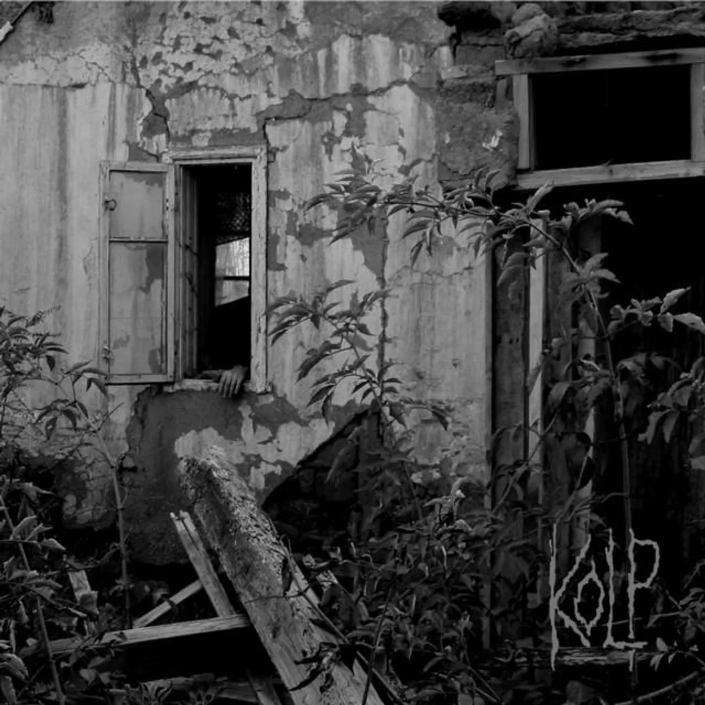 Kolp