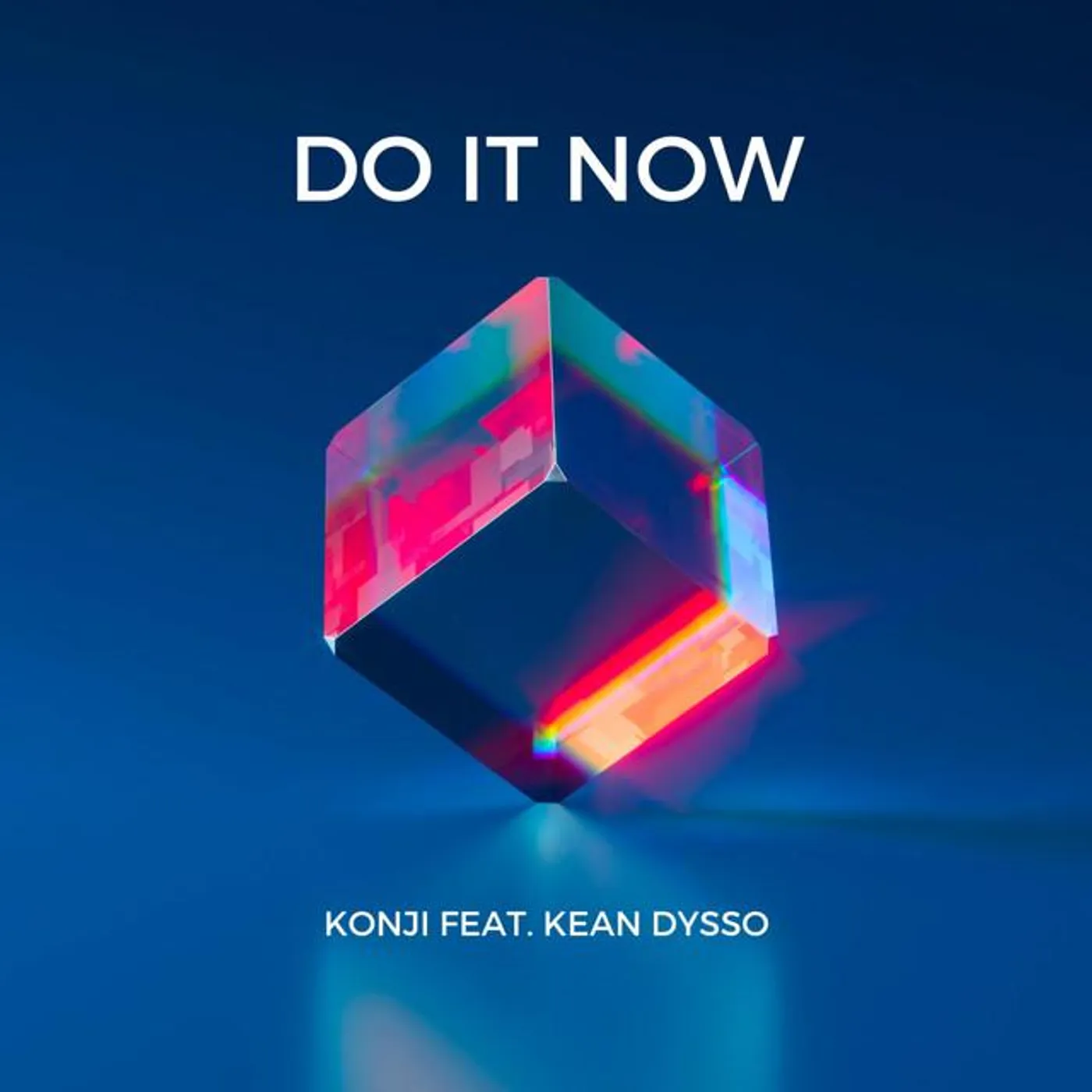 Konji