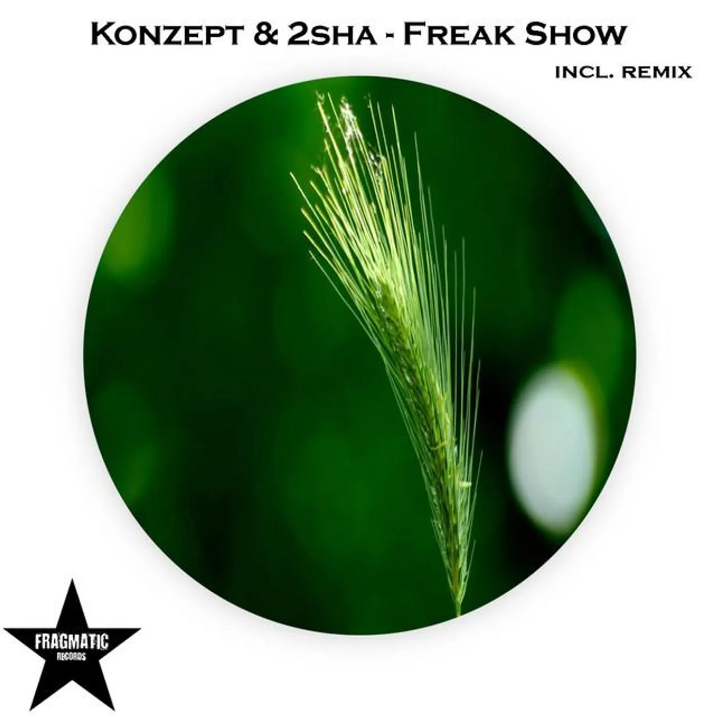 Konzept Brand Page