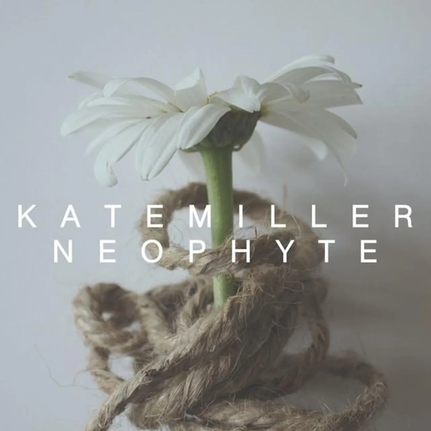 Kate Miller Brand Page