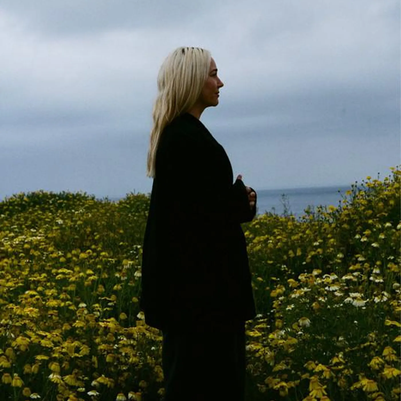 Kathleen Regan Brand Page