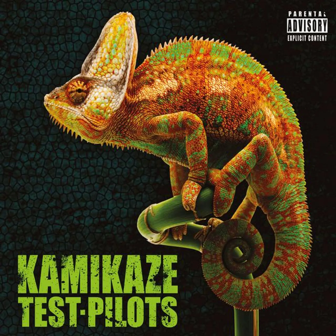 Kamikaze Test Pilots Brand Page