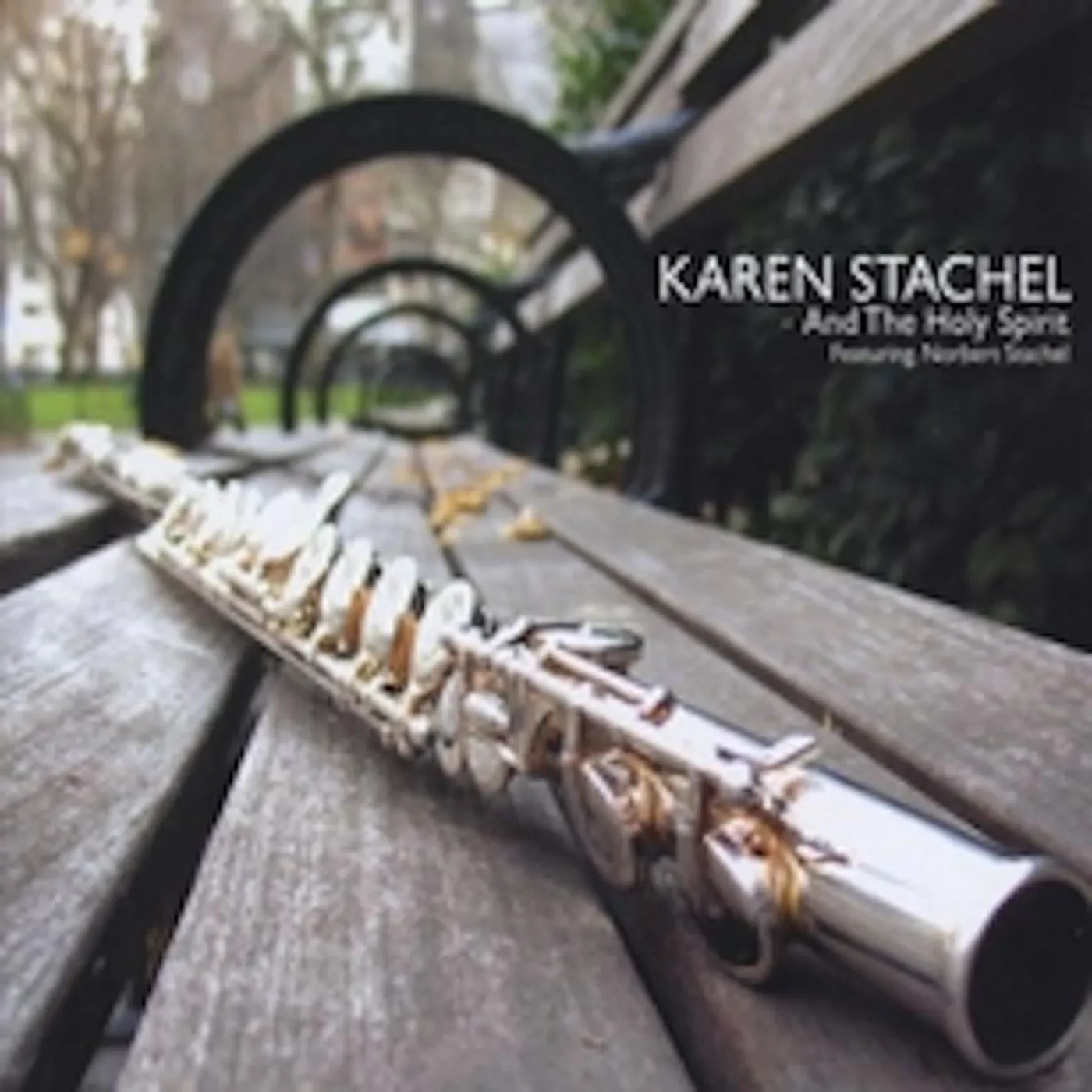 Karen Stachel